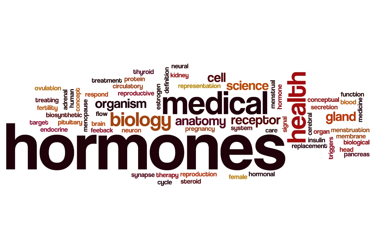 Hormones thyroïdiennes, surrénales, insuline et sexuelles - tout ce qu'il faut savoir